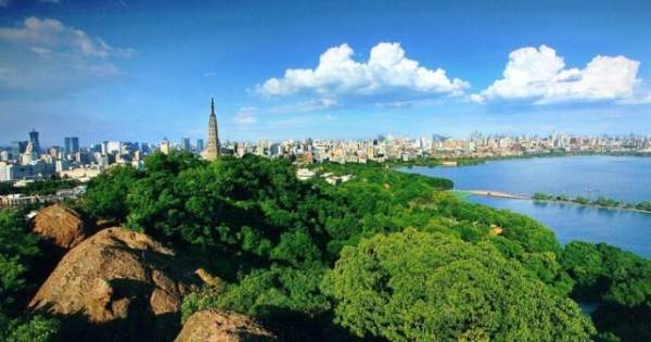 學(xué)習(xí)國外苗木行業(yè)經(jīng)驗(yàn)，搶先了解國內(nèi)市場動態(tài)