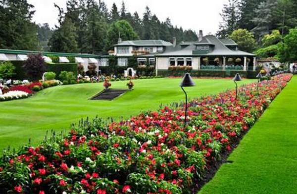 學(xué)習(xí)國外苗木行業(yè)經(jīng)驗(yàn)，搶先了解國內(nèi)市場動態(tài)