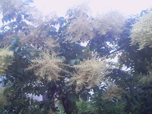 1586177718552555.jpg 1586177718552555.jpg