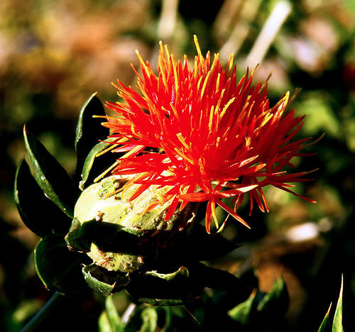 1586262120716345.jpg 1586262120716345.jpg