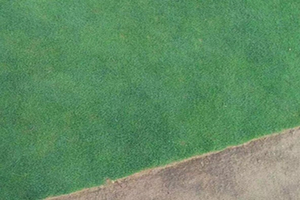 1647536967999444.jpg 1647536967999444.jpg