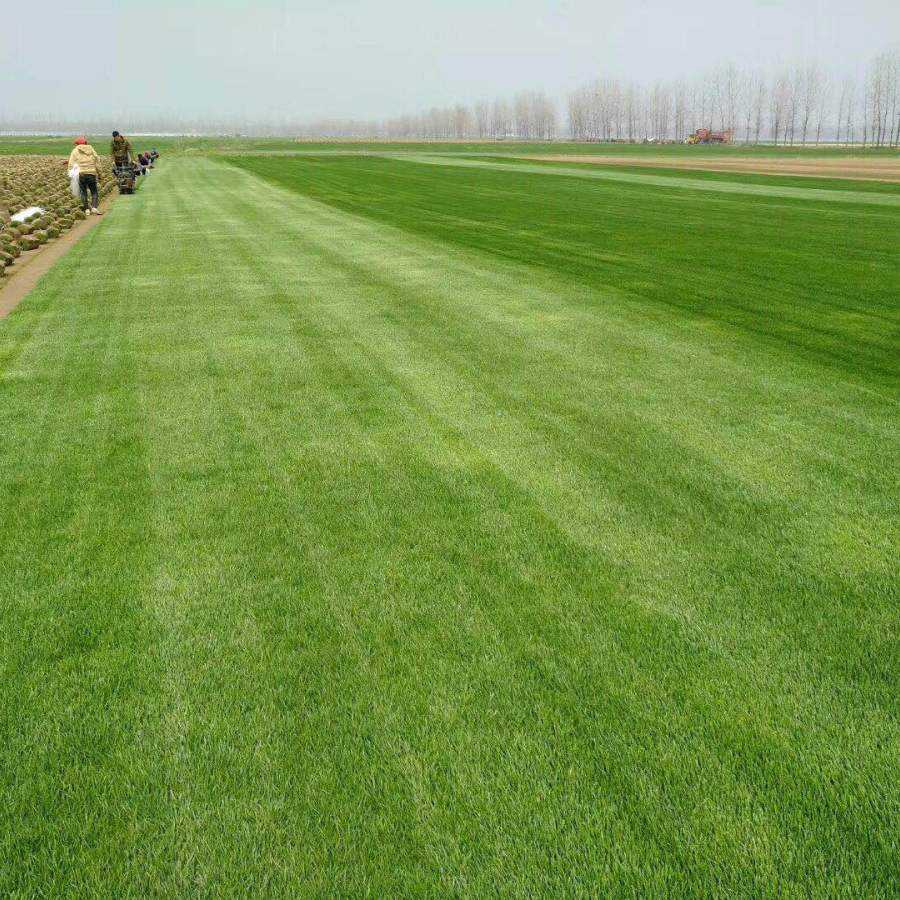 1647537259649628.jpg 1647537259649628.jpg