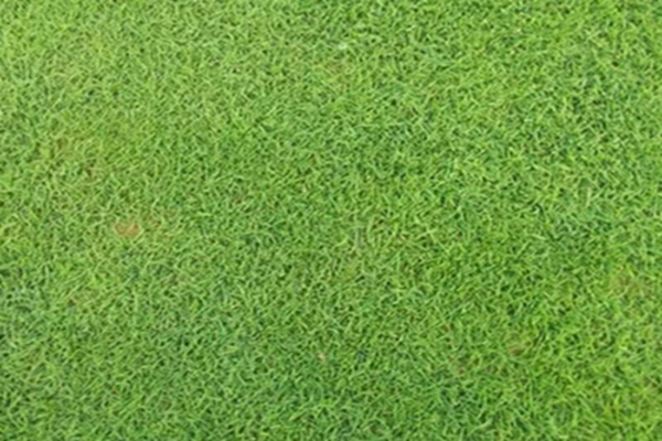 1647538676122040.jpg 1647538676122040.jpg