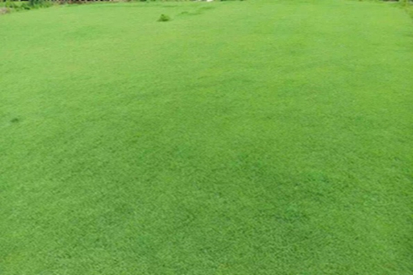 1647539342203517.jpg 1647539342203517.jpg