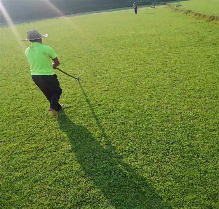 1647539343360795.jpg 1647539343360795.jpg