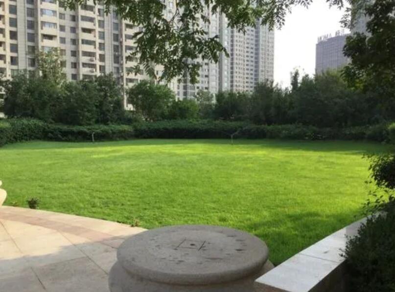 1647570252908580.jpg 1647570252908580.jpg