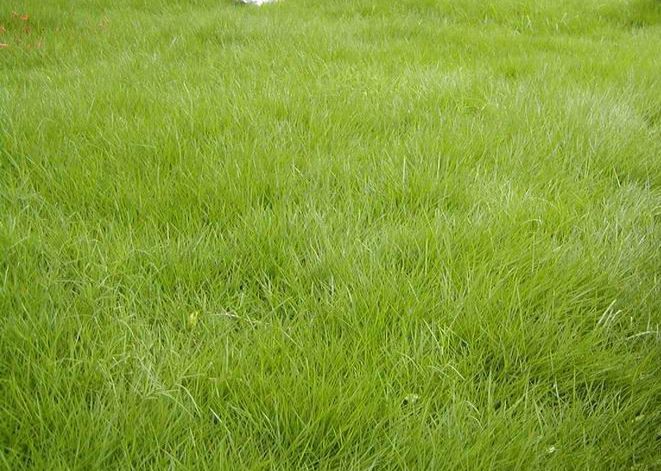 1647571053376272.jpg 1647571053376272.jpg