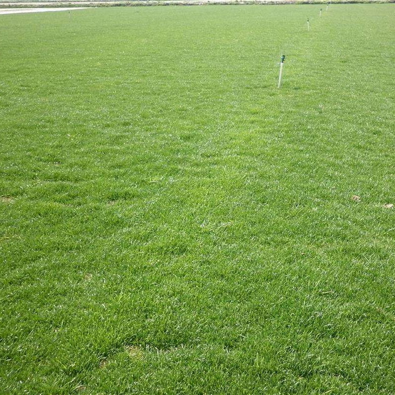 1647571659973080.jpg 9.jpg