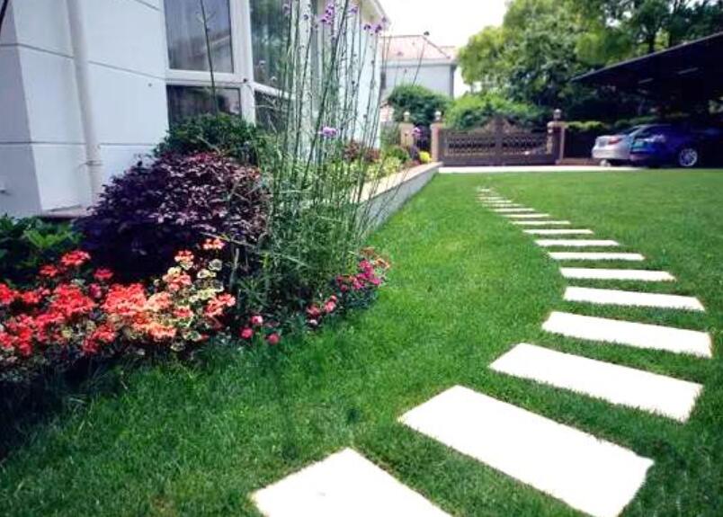 1647572162457450.jpg 1647572162457450.jpg