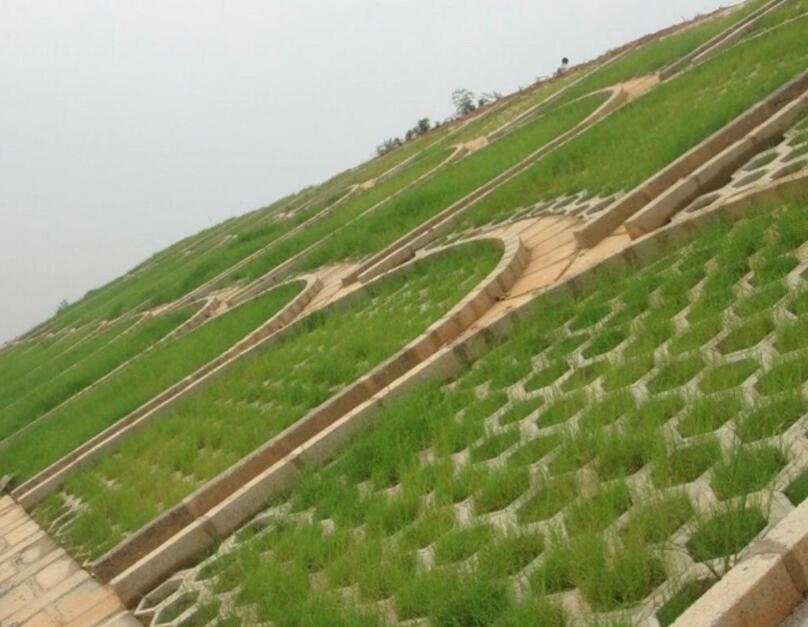 1647572474962088.jpg 1647572474962088.jpg