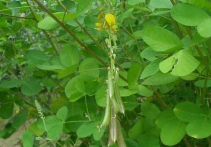 1649038699541194.jpg 1649038699541194.jpg