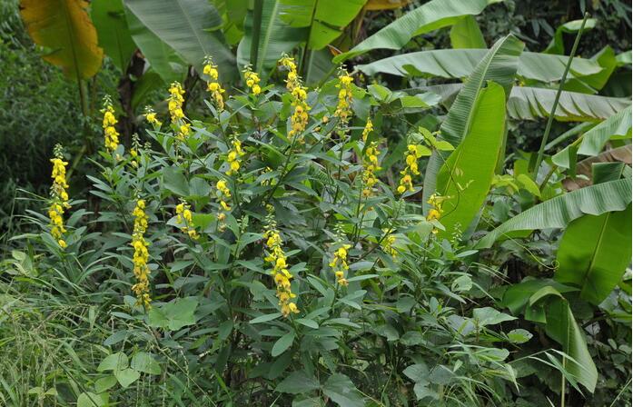 1649038700739908.jpg 1649038700739908.jpg