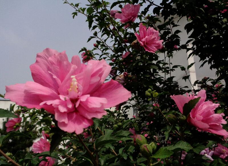 1649039553249190.jpg 1649039553249190.jpg