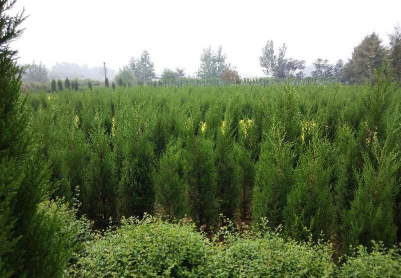 1649040824812995.jpg 1649040824812995.jpg