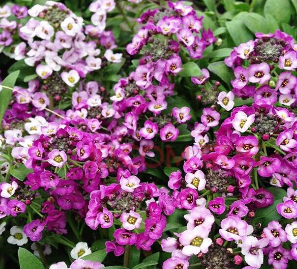 1649042820148065.jpg 1649042820148065.jpg