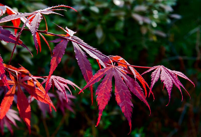 1649042890553995.jpg 1649042890553995.jpg