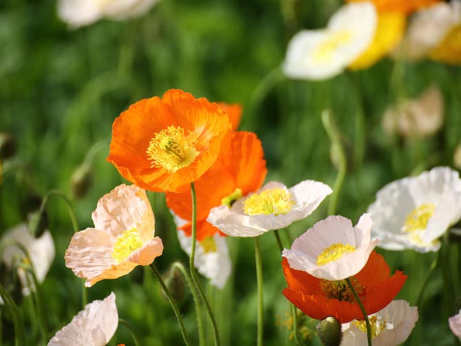 1649043771240280.jpg 1649043771240280.jpg