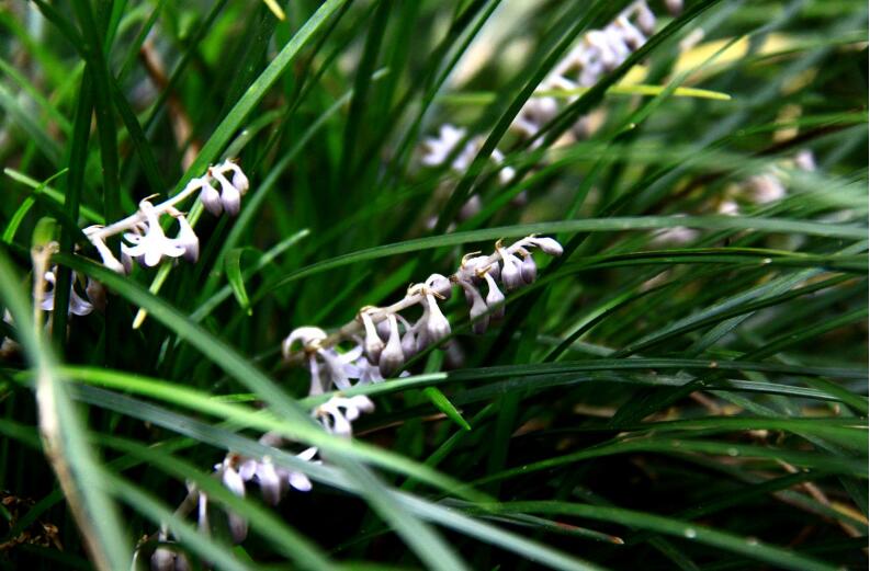 1649044351704702.jpg 1649044351704702.jpg