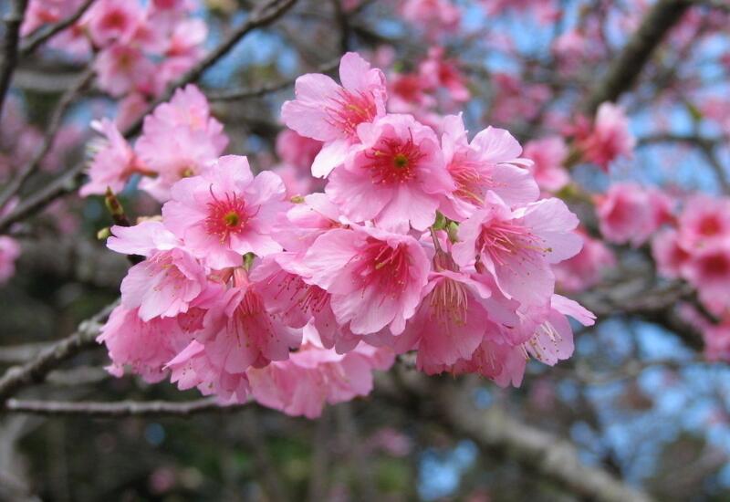 1649046061271116.jpg 1649046061271116.jpg