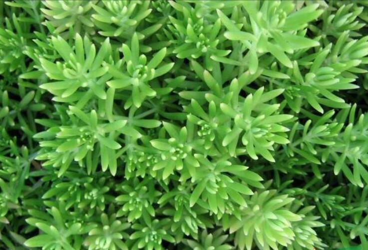 1649661572831631.jpg 1649661572831631.jpg