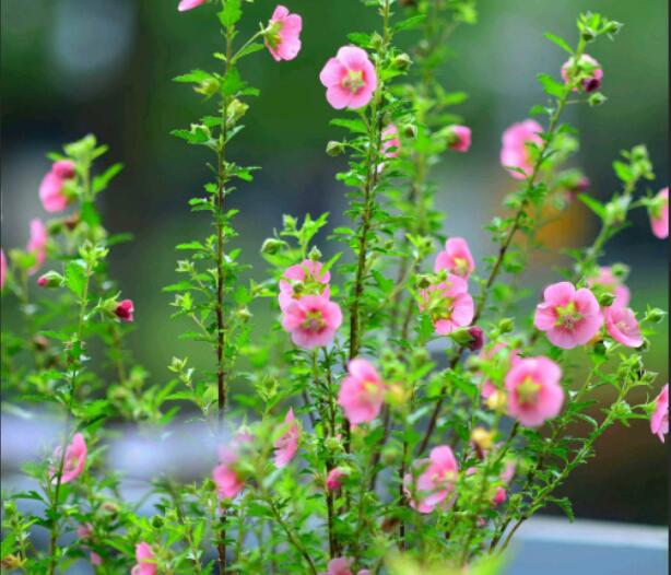 1650199327311790.jpg 1650199327311790.jpg