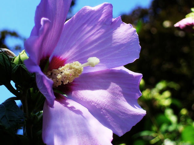 1650199526333210.jpg 1650199526333210.jpg