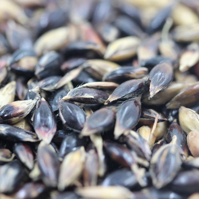 1651545156947931.jpg 1651545156947931.jpg