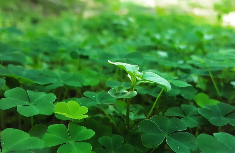 1651545979975347.jpg 1651545979975347.jpg