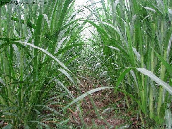 1651549721317800.jpg 4a9498b2b25042474f8e4297ae609b24_1-1F410201634160.jpg