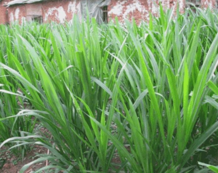 1653144403831432.jpg 1653144403831432.jpg