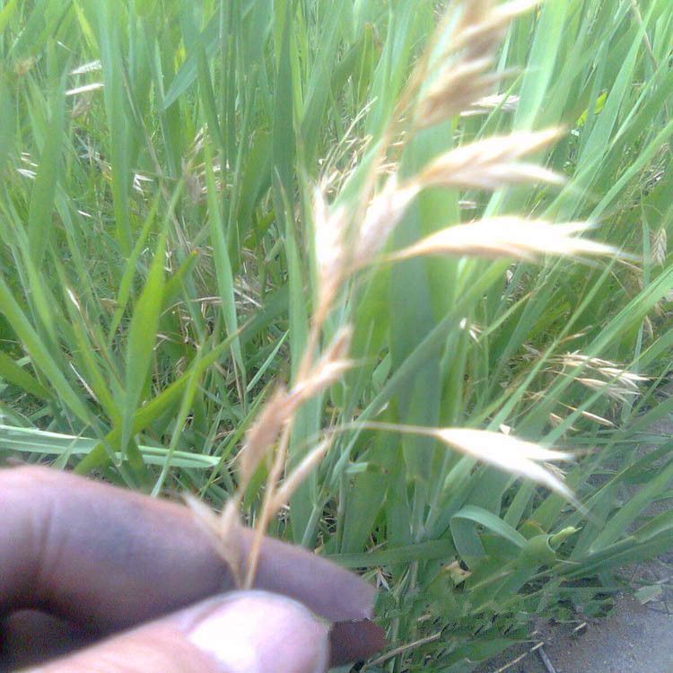 1653800301142185.jpg 1653800301142185.jpg