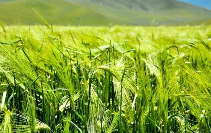 1653800793413749.jpg 1653800793413749.jpg