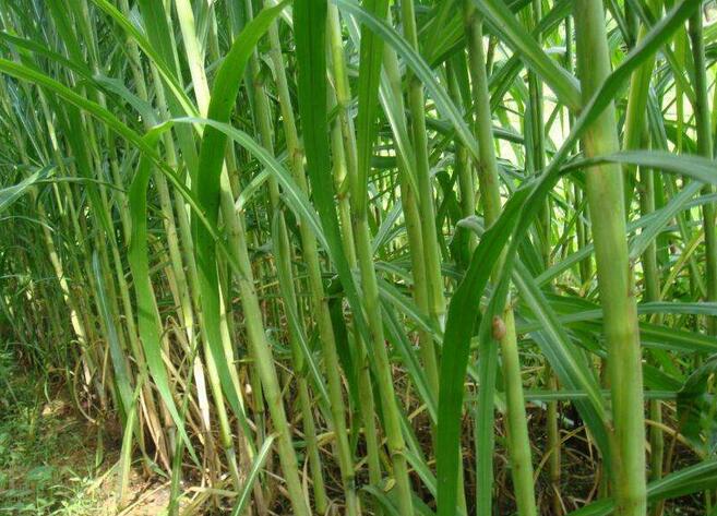 1653801023126065.jpg 1653801023126065.jpg