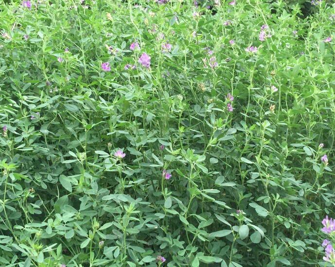 1653801437562596.jpg 1653801437562596.jpg