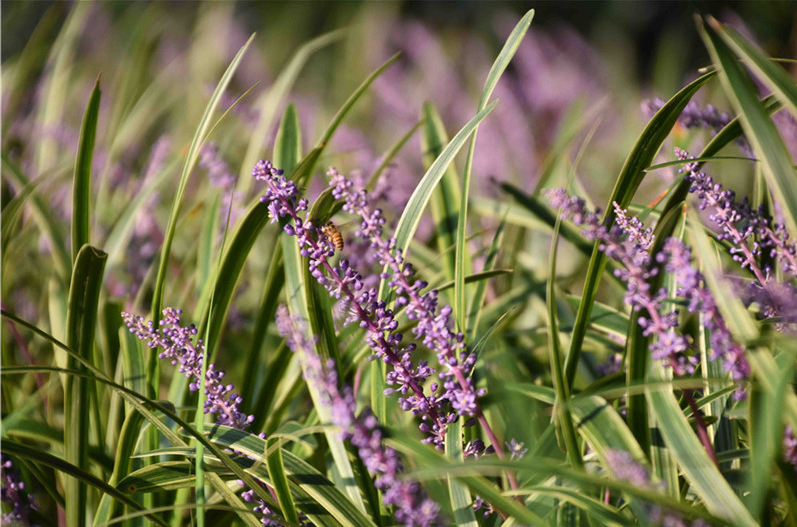 1673081912173375.png 微信圖片_20230107165727.png