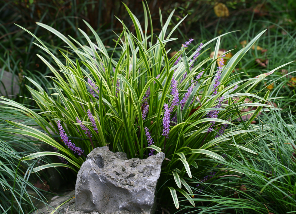 1673081947846925.png 微信圖片_20230107165821.png