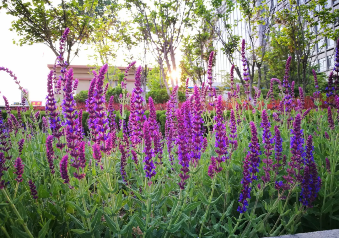 1673091965128302.png 微信圖片_20230107194524.png