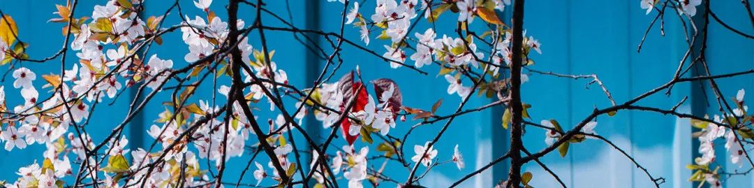 1673092260662669.jpg 微信圖片_20230107195013.jpg