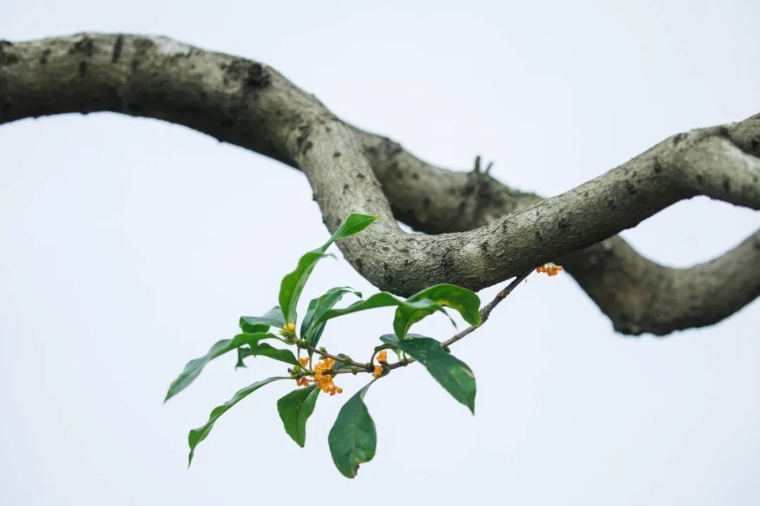 1673825673253919.jpg 微信圖片_20221026222420.jpg