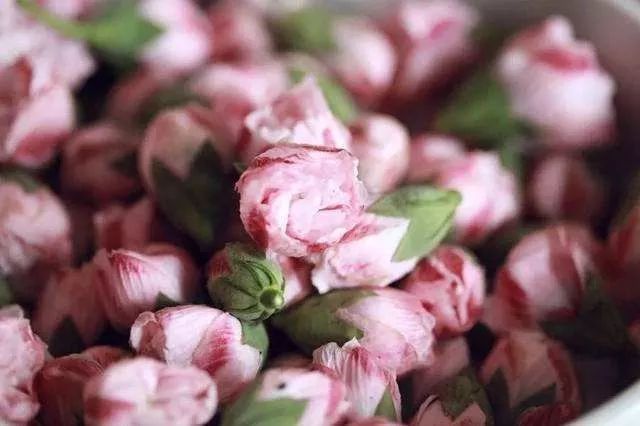 1675196555308699.jpg 微信圖片_20230108112342.jpg