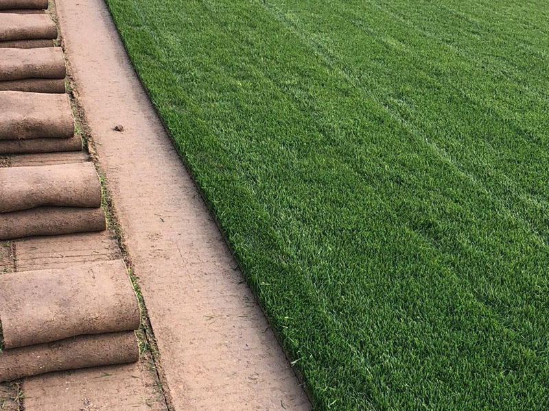 1675931534379075.jpg 1644989799445080.jpg