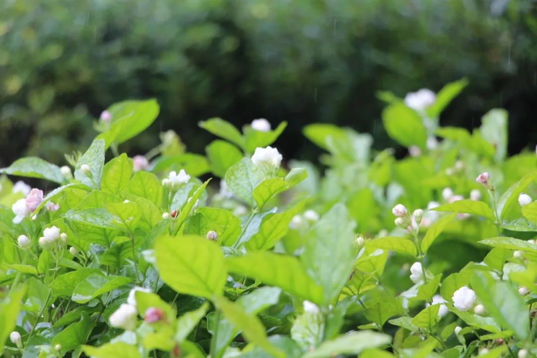 1676810945384882.jpg 微信圖片_20221104184551.jpg