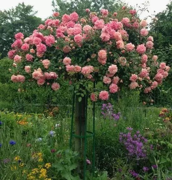 1676894095921694.jpg 微信圖片_20230211070240.jpg