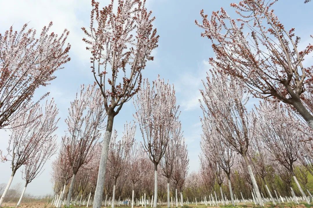 1676894183424138.jpg 微信圖片_20230107162500.jpg