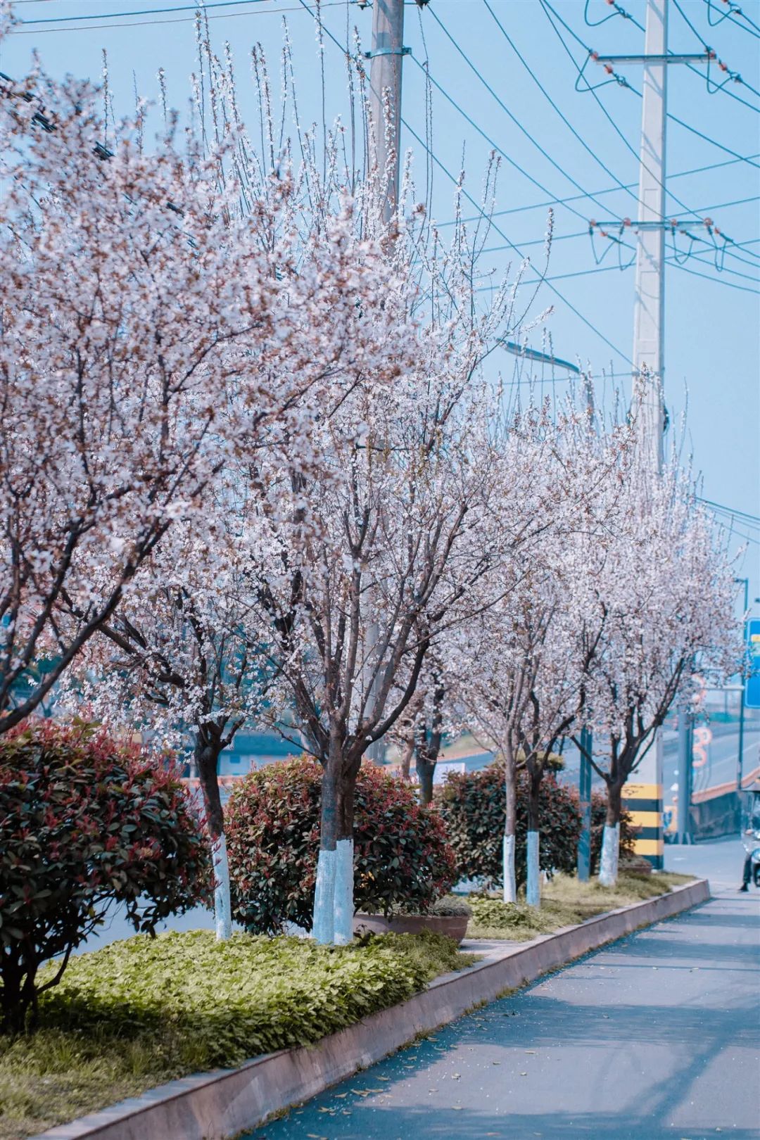 1676898585169681.jpg 微信圖片_20230107194952.jpg