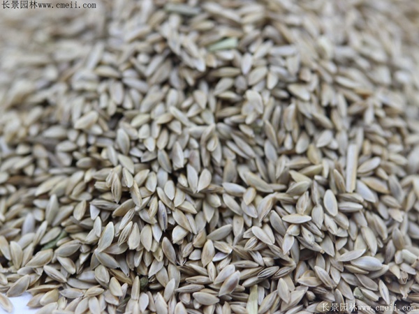 1712122604978474.jpg 1-1F410202J2a4.jpg