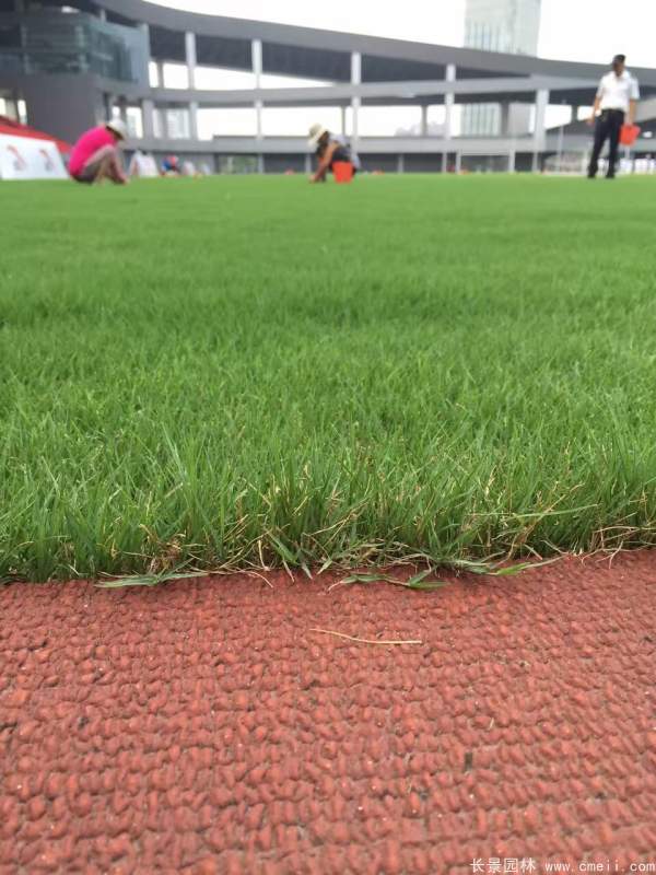 1712122614689274.jpg 1-1F412205S5433.jpg