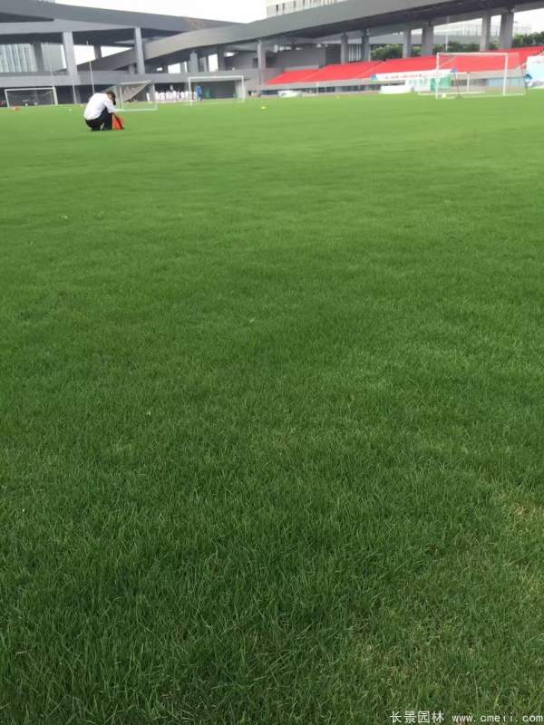 1712122619884617.jpg 1-1F412205S5F6.jpg