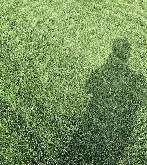 1712129720601612.jpg 1-1F4301K624923.jpg