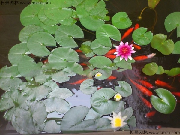 1712192178950065.jpg 1-1F615213945b4.jpg